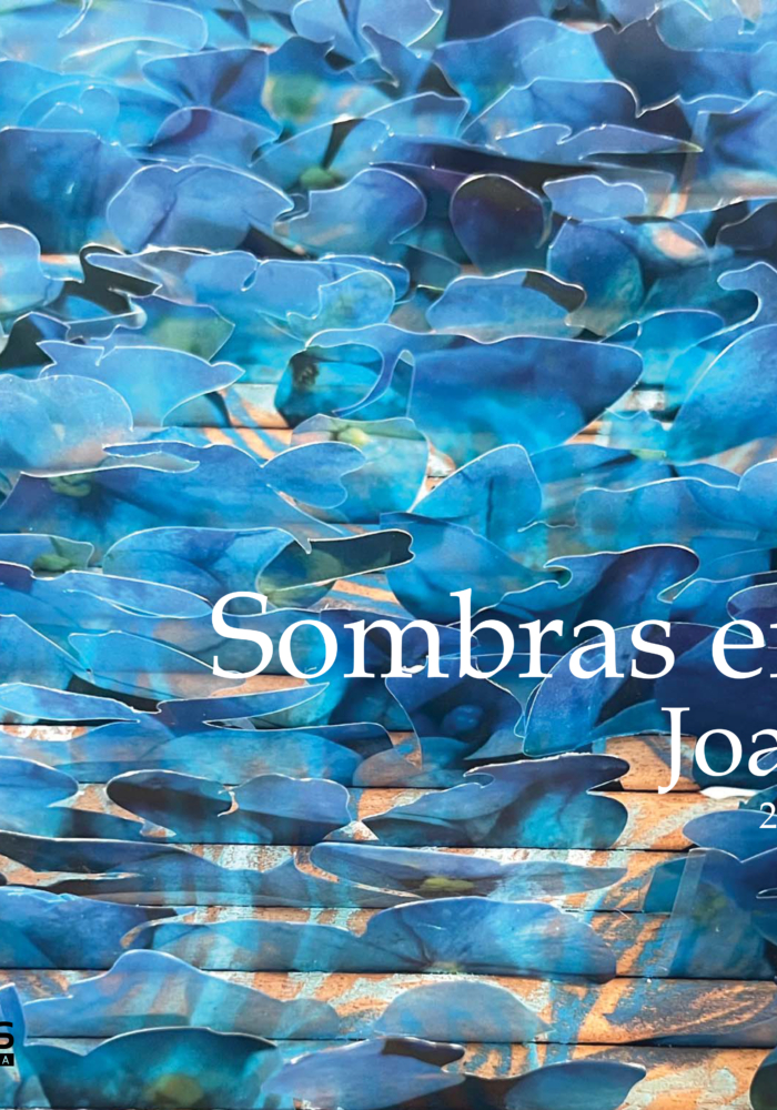 cartaz pitta 24.indd